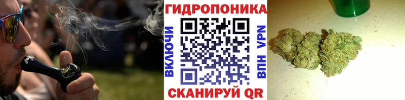 сколько стоит  Избербаш  Конопля OG Kush 